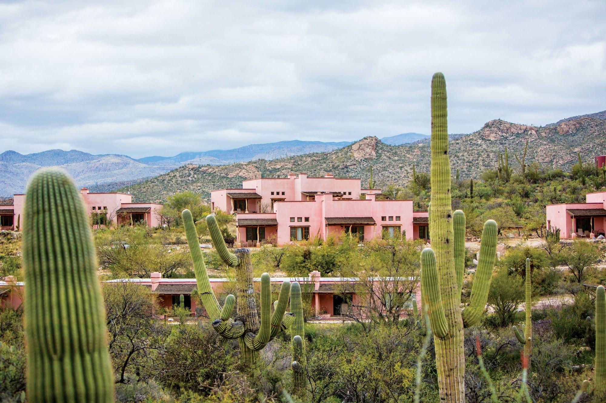 Tanque Verde Guest Ranch Tucson Kültér fotó