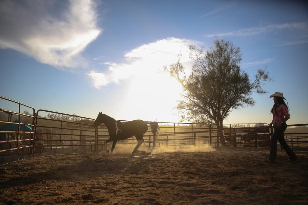 Tanque Verde Guest Ranch Tucson Kültér fotó