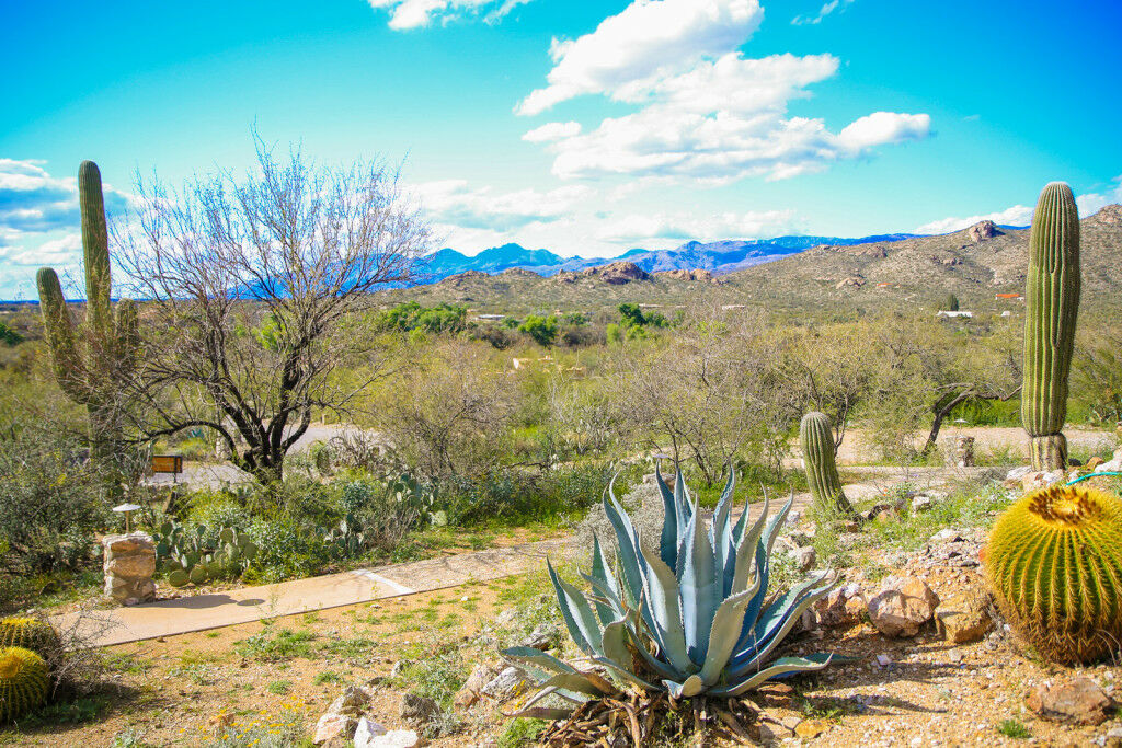 Tanque Verde Guest Ranch Tucson Kültér fotó